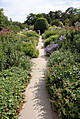 garden-path.jpg